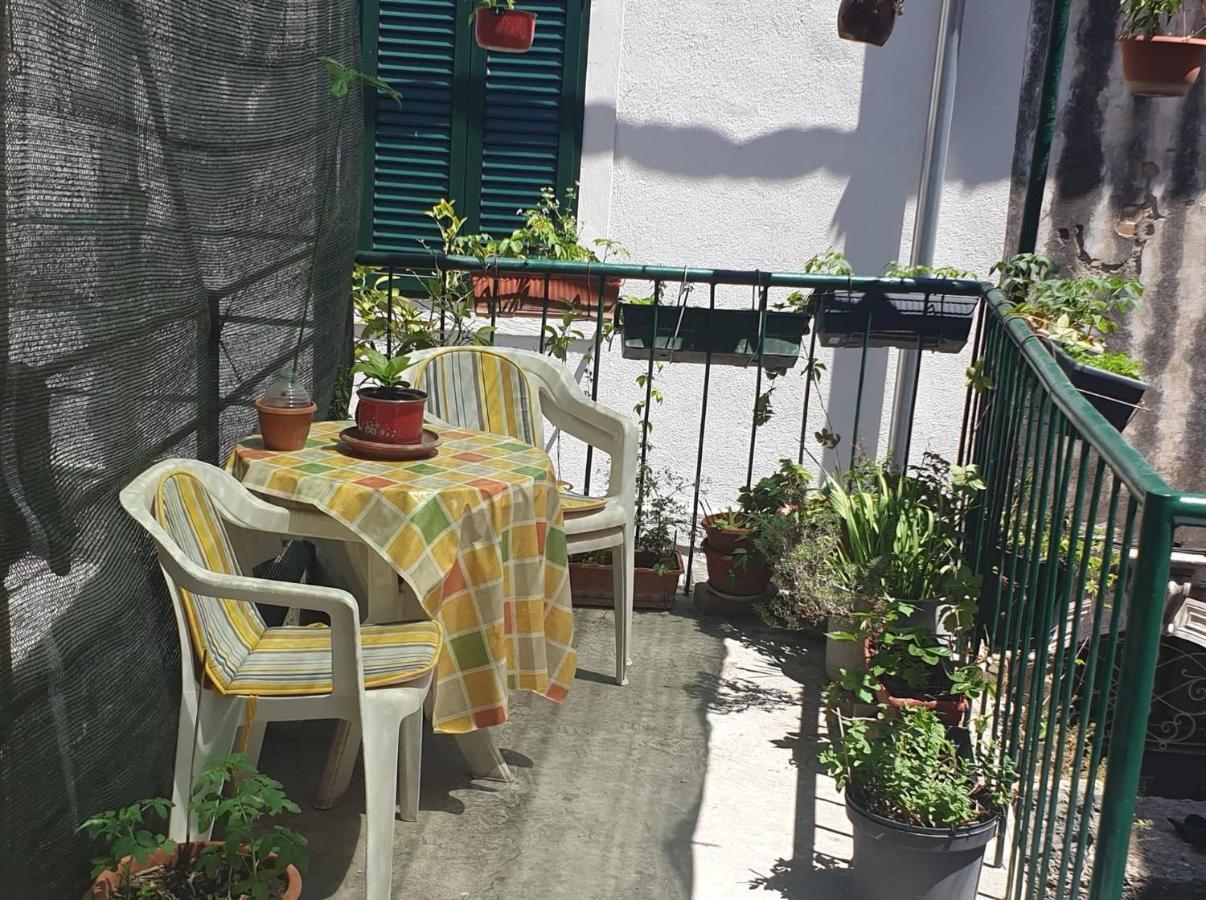 Apartmani Nedo สปลิท ภายนอก รูปภาพ